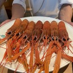 日本料理FUJI - アカザエビ