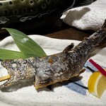 小川の魚 - 