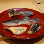 炎水 - この巨大な鰭だけでも大きさを想像させる虎河豚の個体。