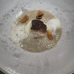 MOTORA  - 