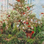 コムギlab - 1階玄関のフリースペースに飾られたクリスマスツリー