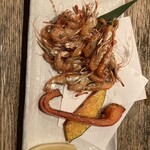 小川の魚 - 