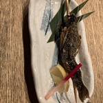小川の魚 - 
