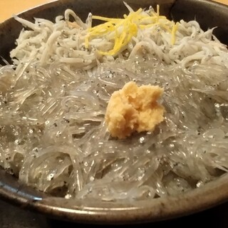 マイアミ貝新_0