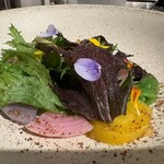 THE HARBOR TERRACE Restaurant - 