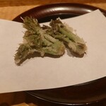 伯雲 - タラの芽の天ぷら