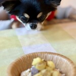 Forest Garden KOMONO - 