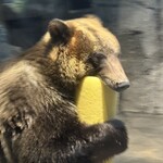 旭山動物園くらぶ パン小屋 - 