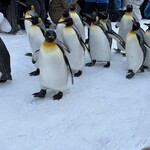 旭山動物園くらぶ パン小屋 - 