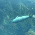 旭山動物園くらぶ パン小屋 - 