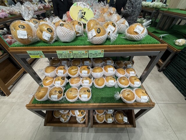 道の駅 ふくしま - 平野（道の駅）の写真