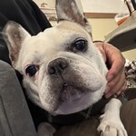 軽井沢ベランダ - 