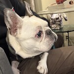 軽井沢ベランダ - 