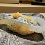 島津 - 細魚　◎◎