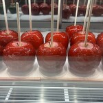 りんご飴専門店 富士林檎 蒲田店 - 