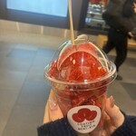 りんご飴専門店 富士林檎 蒲田店 - 