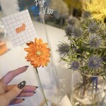 muf 生マフィンと時々､お花｡ - 