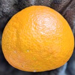 わくわく広場 - 美しい♬初めまして♬