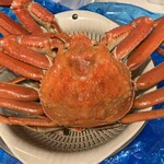 角上魚類 寺泊本店 - 