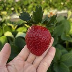 姫路ハートフル観光農園 - 