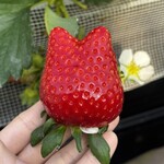 姫路ハートフル観光農園 - 