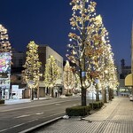 のこ - 歳末の中央大通りは明るいけど人の出はまばら