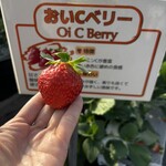 姫路ハートフル観光農園 - 