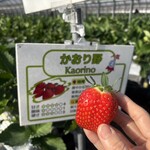 姫路ハートフル観光農園 - 