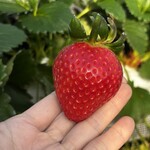 姫路ハートフル観光農園 - 