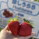 姫路ハートフル観光農園 - 