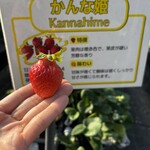 姫路ハートフル観光農園 - 