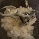 富山×居酒屋 ヨイチャベ - 