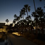 マリブファーム  - 