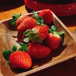 ONZO - 