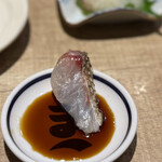 釣宿酒場 マヅメ - ヘダイ