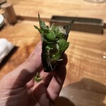 焼き鳥 とりら - 