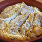 更科 - 丼を覆いつくすカツに嬉しくなります♡