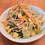 SAYA NEPALI CUISINE & BEER GARDEN NAKAMURA - サラダ(タカリ カナセット)