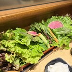 やさい村大地 赤坂田町通り店 - 