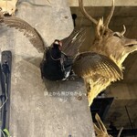 ボタニカルアイテムアンドカフェ シアン - 