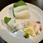 Izakaya Shinzan - 魷魚刺身