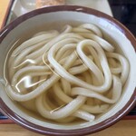 手打ちうどんますや - かけ小