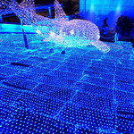 築港麺工房 - 海遊館から100メートル