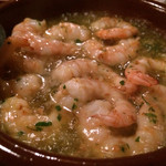 サル イ アモール - 