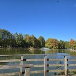 アナザープレイスカフェ  - 