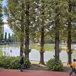 アナザープレイスカフェ  - 