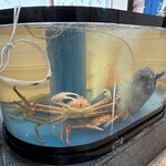 回転寿司 えりも岬 - 生簀