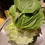 テンチョ - 