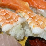 寿司一代 - 『おまかせ生寿司』