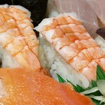 寿司一代 - 『おまかせ生寿司』